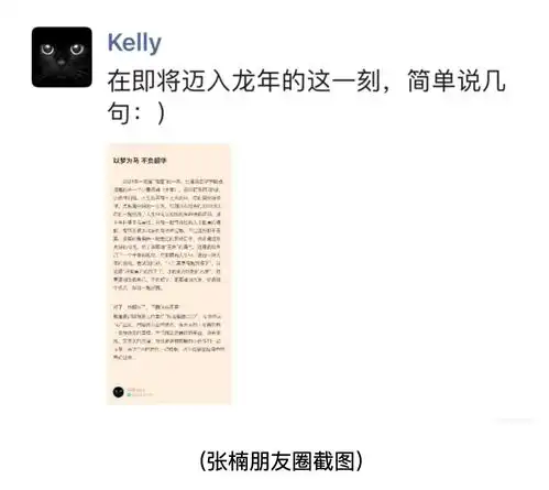 抖音人事调整张楠辞任ceo,无新设ceo计划