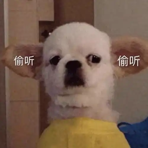 其他组关于深圳新规定的讨论看得我心肌梗塞