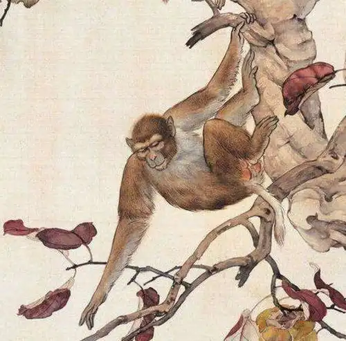 猴果然出事了,百年难遇,再不准备可就完了
