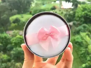 澳尔滨晚安粉平价替代club出浴素颜散粉晚安粉限量版樱花玫瑰木槿百合柑橘