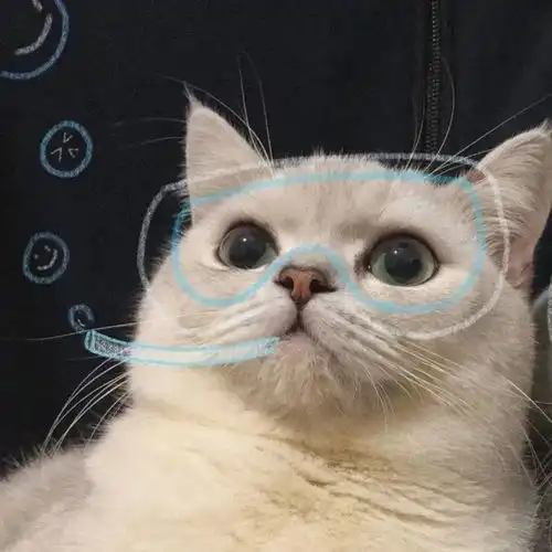 测试一个超长简介的文章