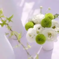 下载图片头像风景微信头像图片大全