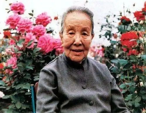 冰心做了什么为何死后亲孙女骂她,还在墓碑上刻枉为人表