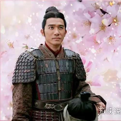 三国志13明星替换计划第三弹