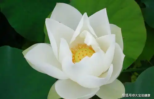 最不讲理的三个生肖女,其实只是缺乏安全感,温柔漂亮还粘人