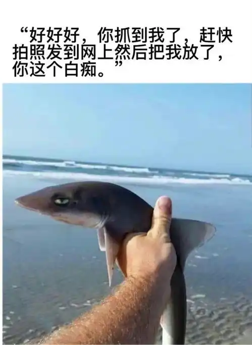 奇闻异事大合集