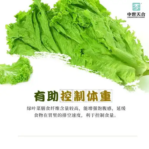 中世天合绿叶菜的好处超出你想象营养价值高还能帮助减肥