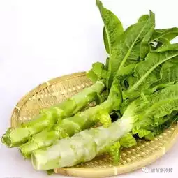 蔬菜对身体有哪些好处烹调蔬菜要注意哪些细节