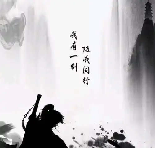 哔哩哔哩专栏