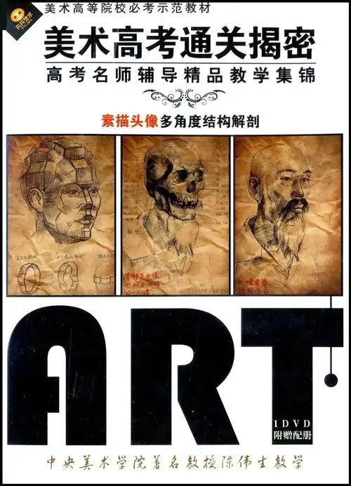 美术高考通关揭秘素描头像1dvd