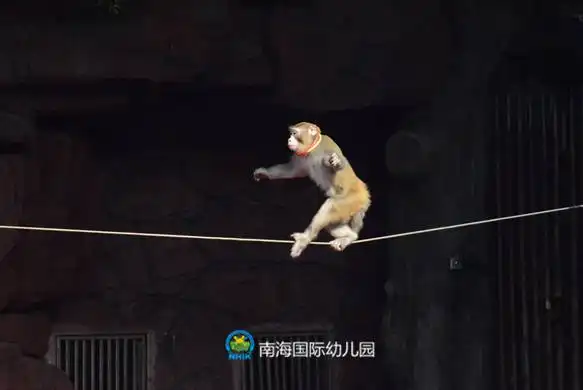 bb长鹿农庄亲子乐