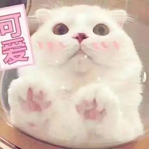 cug发布2019英国大学排行榜