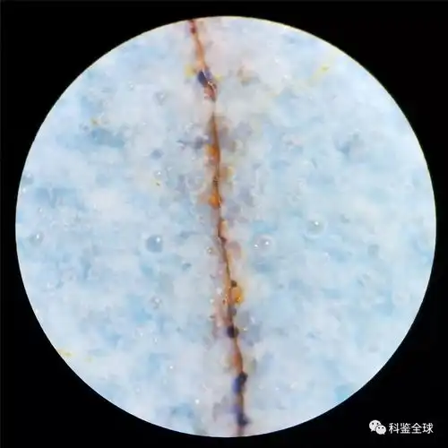古陶瓷痕迹鉴定学之宋钧窑鸡心钵微观痕迹赏析