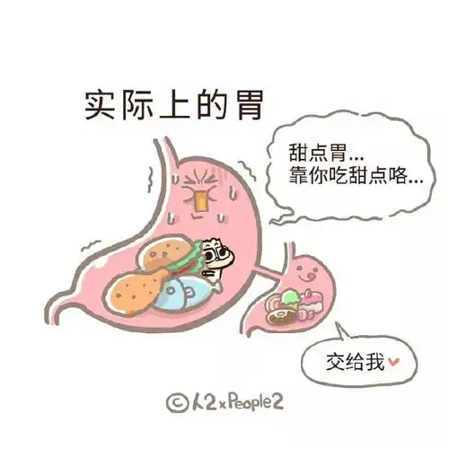 我们的胃到底有多大这就是变胖的原因吗哈哈哈太难了
