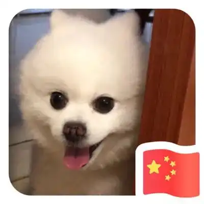 微信国旗头像高清无水印2019最火微信国旗头像大全
