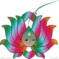 莲花头像图片大全大图禅意粉红色莲花头像图片