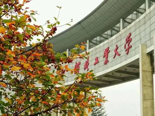 秦皇岛美术新高考选科指导搞不清它们到底在哪个城市得学校