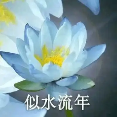 微信头像图片2020荷花带字系列荷花带字微信头像高清大全集