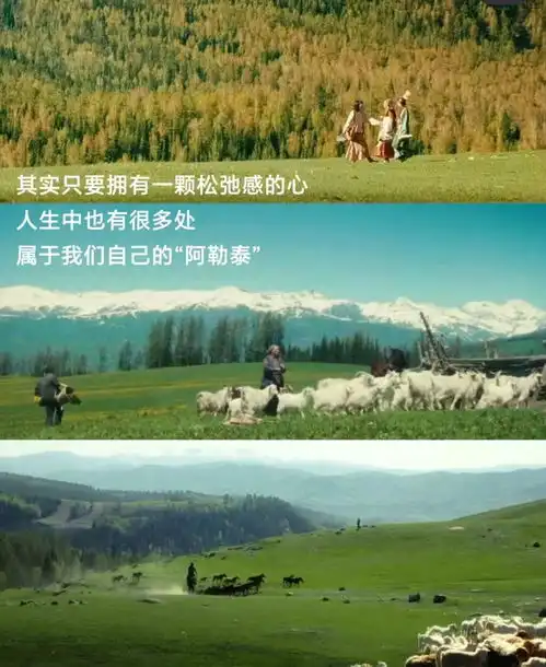 走进阿勒泰探寻喀纳斯湖的神秘传说与自然美景