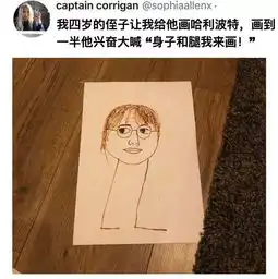 沙雕时间这个哈利波特画的有点抽象.....