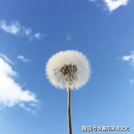 早安心语正能量图片句子,精辟霸气,激励人心