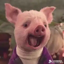 测试一个超长简介的文章
