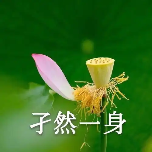记录一个应试教育的尴尬瞬间