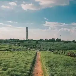 测试一个超长简介的文章