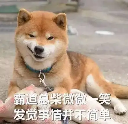 七夕,看情侣cp和单身汪的互怼