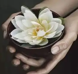你的善良,必须要配有点锋芒