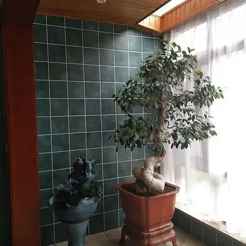 禅意花园