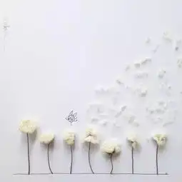 你会给自己的人生投资什么呢