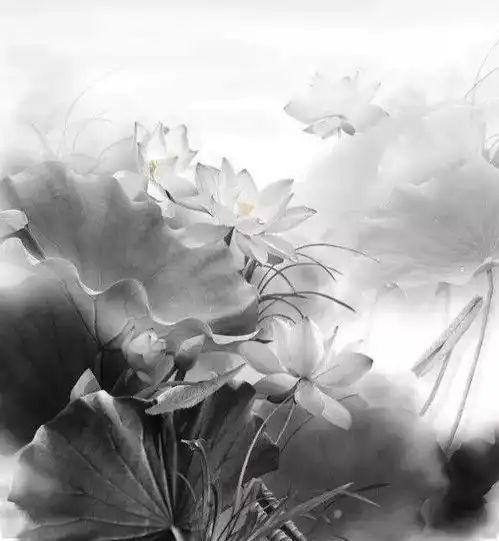 善良,是佛前的一朵莲花