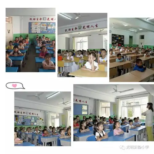 我们是小学生啦