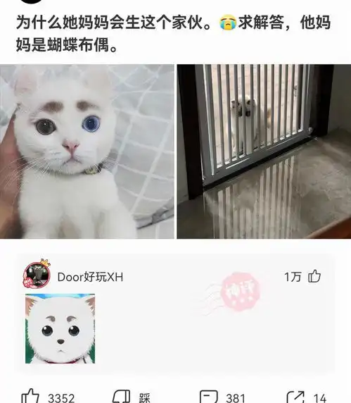 神回复姑娘在向你招手,你好歹给个反应啊