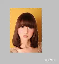 如何快速用ps更换一寸照底色