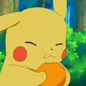 我的收藏