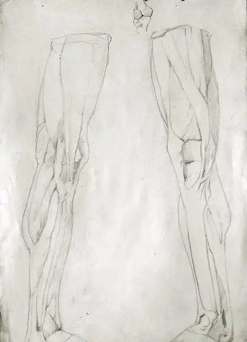 艺推意大利画家beppeciardi素描手稿作品