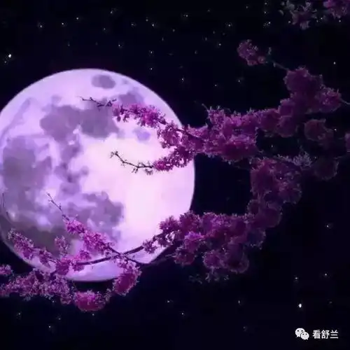中秋节传统活动有哪些