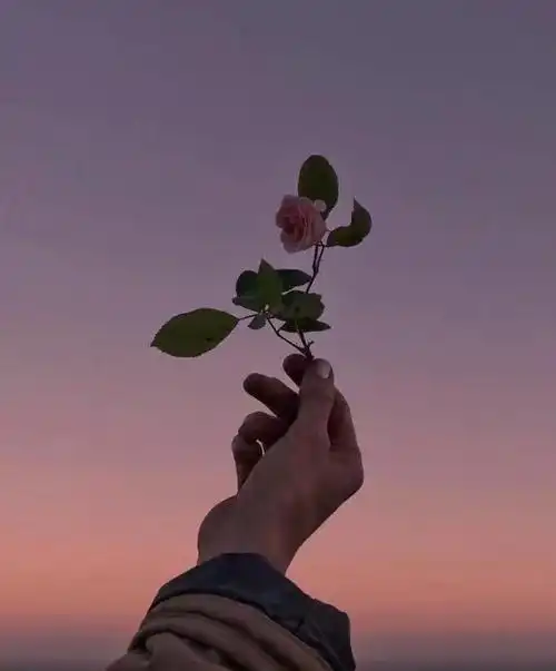 测试一个超长简介的文章