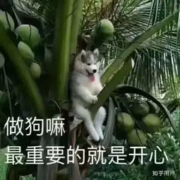 一个女生没有刘海是什么感受
