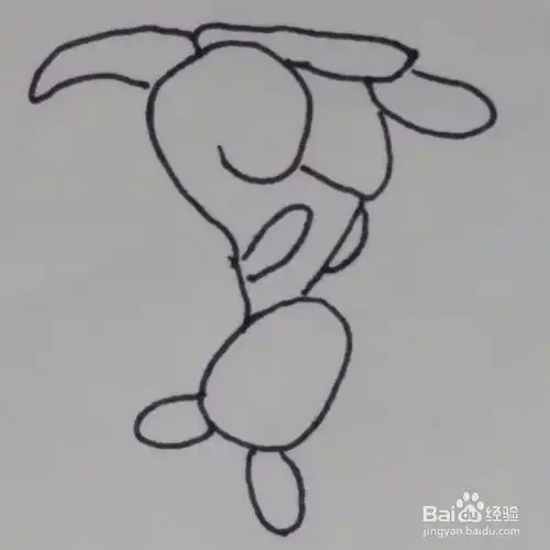 袋鼠动物简笔画