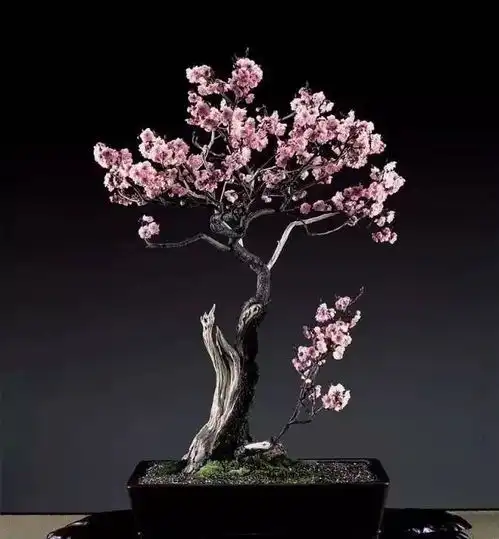 枯死的枝干先别剪,有妙用