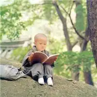 测试一个超长简介的文章