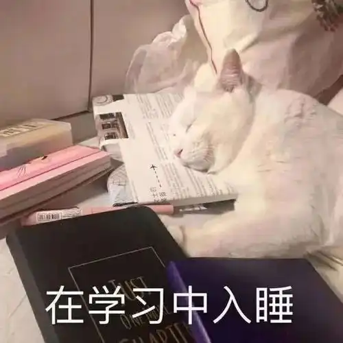周运12星座一周运势12.1312.20