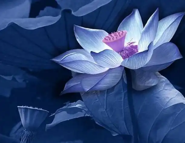 测试一个超长简介的文章