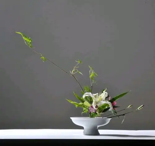 让人受益终身的正能量句子,看完豁然开朗