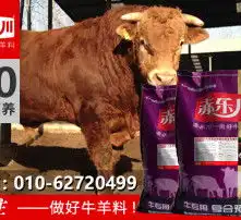 黄页88高清图片