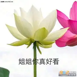 姐姐你真好看妹妹你也是头像图片药店碧莲表情包图片下载乐游网游戏下载