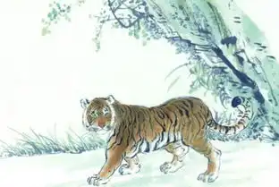 玄清风水命理1938年出生的属虎人今年多少岁,今年健康运势还好吗
